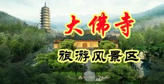 在线黄色网站操美女中国浙江-新昌大佛寺旅游风景区